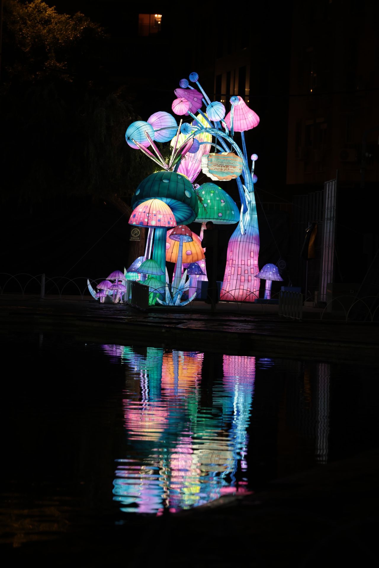 Chinese lantern festival in pictures